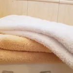 Lola * Hajdúszoboszló